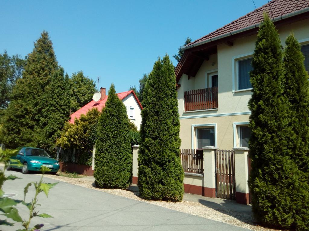 Eva Vendeghaz Guesthouse Hajdúszoboszló المظهر الخارجي الصورة